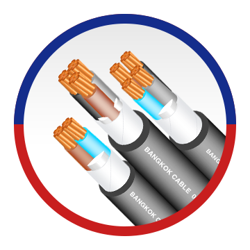 0.6/1 kV XLPE/LSHF 2,3,4 CORES